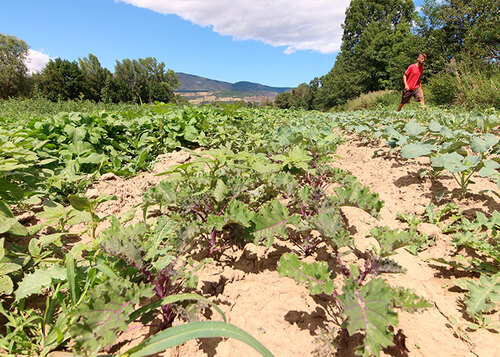La ferme familiale à Millas dans les Pyrénées Orientales