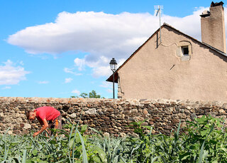 Le travail dans le champs à côté d'un mur en pierres sèches